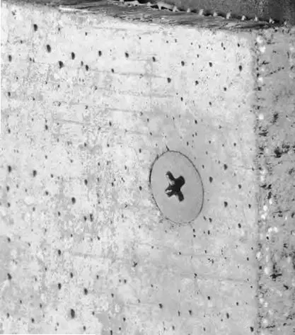 Screw in cement board